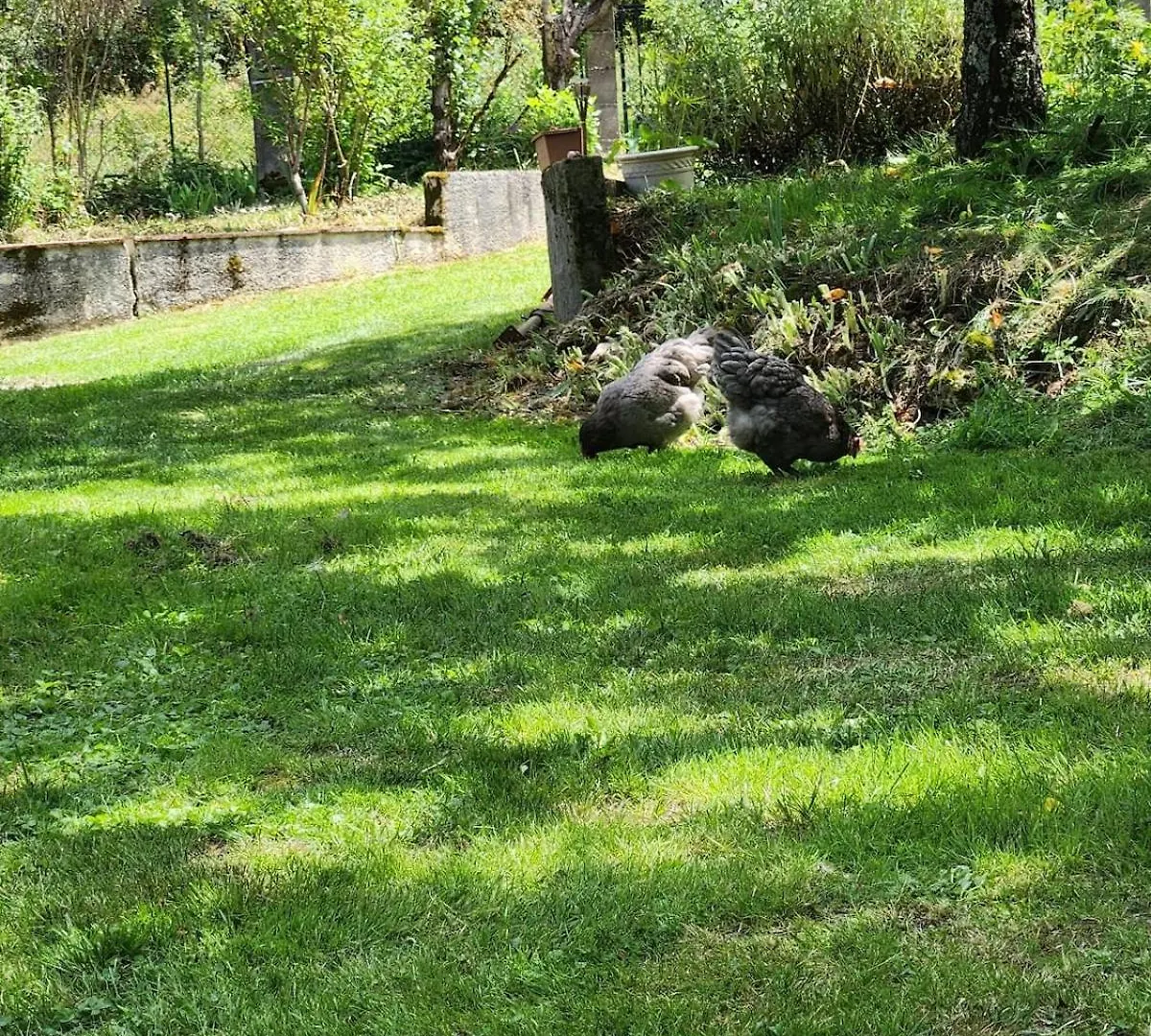Le Cledon Villa Esparsac Holiday home